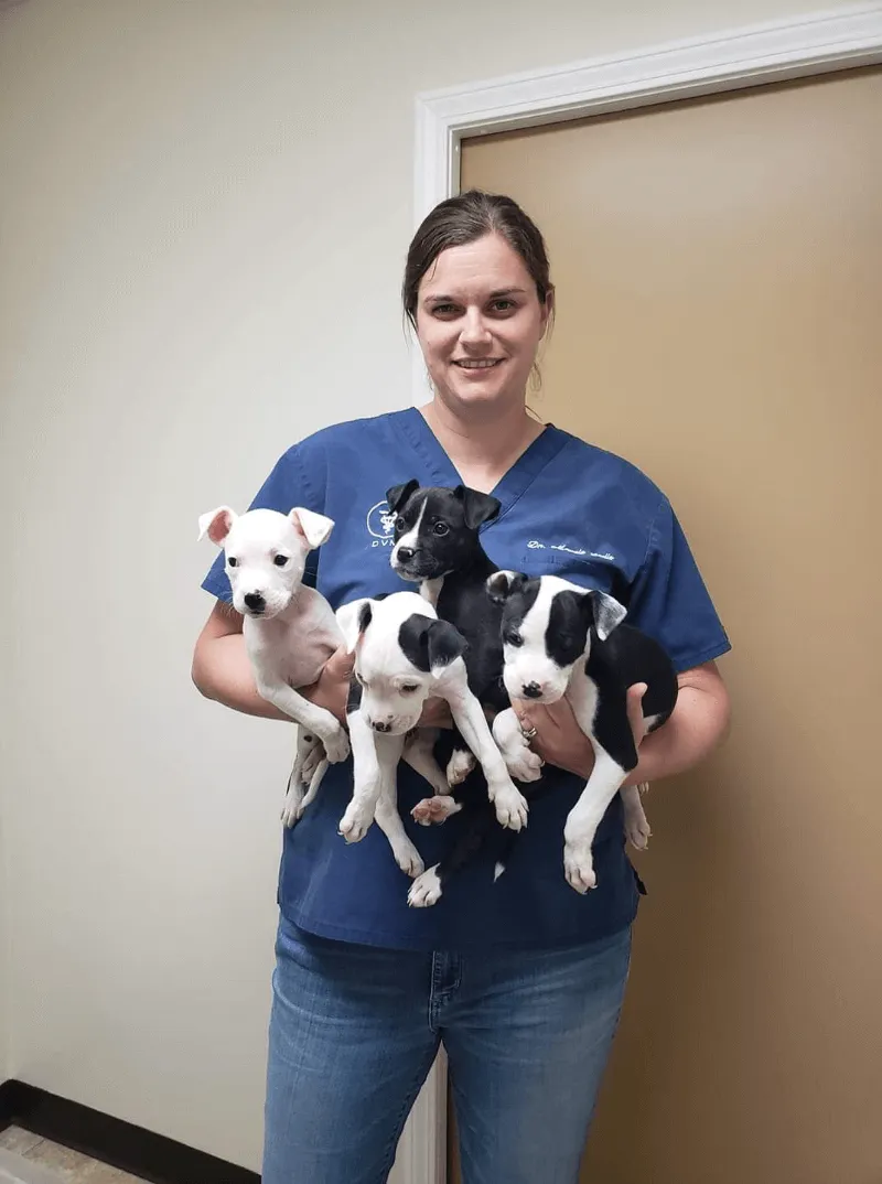 Dr. Maggie - Veterinarian